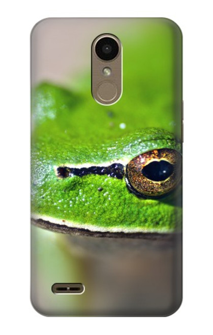 S3845 Green frog Case For LG K10 (2018), LG K30