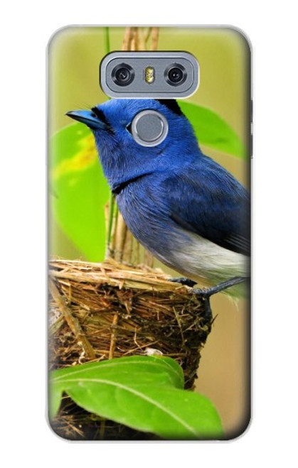 S3839 Bluebird of Happiness Blue Bird Case For LG G6