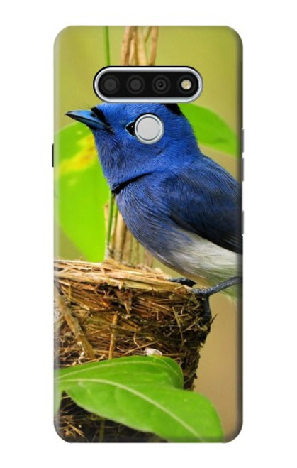 S3839 Bluebird of Happiness Blue Bird Case For LG Stylo 6