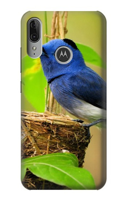 S3839 Bluebird of Happiness Blue Bird Case For Motorola Moto E6 Plus, Moto E6s