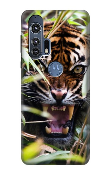 S3838 Barking Bengal Tiger Case For Motorola Edge+