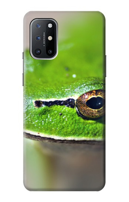 S3845 Green frog Case For OnePlus 8T