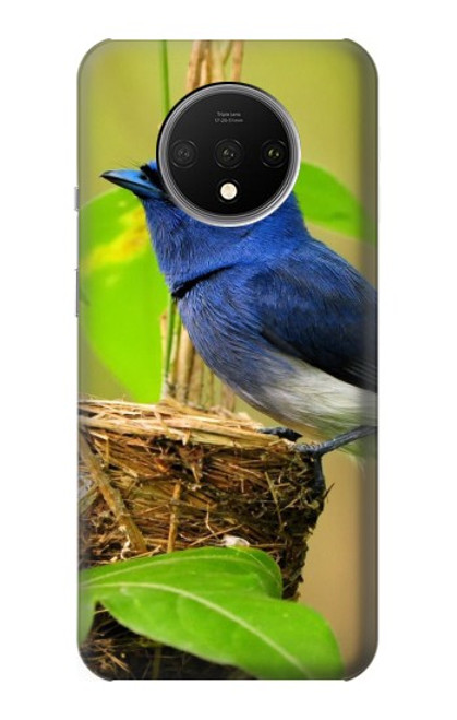 S3839 Bluebird of Happiness Blue Bird Case For OnePlus 7T