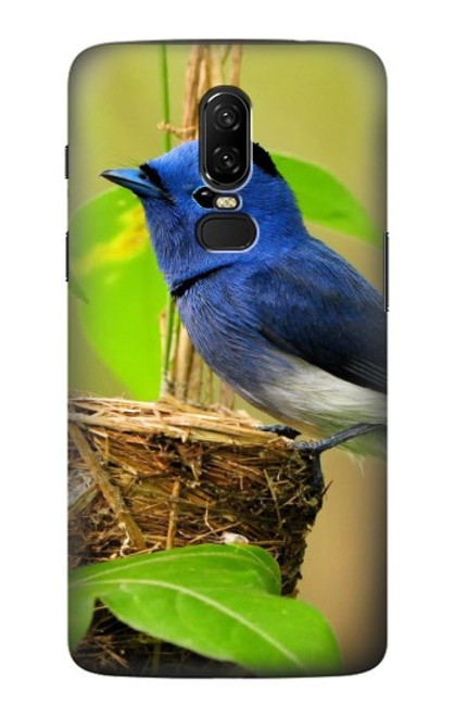 S3839 Bluebird of Happiness Blue Bird Case For OnePlus 6