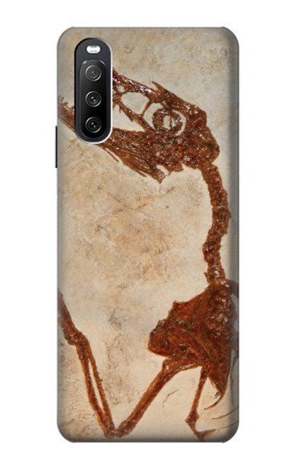 S0379 Dinosaur Fossil Case For Sony Xperia 10 III Lite