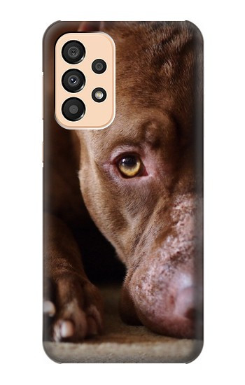 S0519 PitBull Face Case For Samsung Galaxy A33 5G