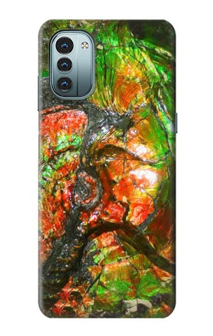 S2694 Ammonite Fossil Case For Nokia G11, G21