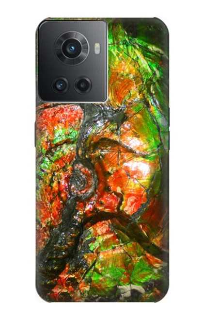S2694 Ammonite Fossil Case For OnePlus 10R
