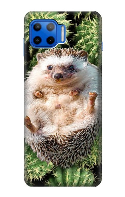 S3863 Pygmy Hedgehog Dwarf Hedgehog Paint Case For Motorola Moto G 5G Plus