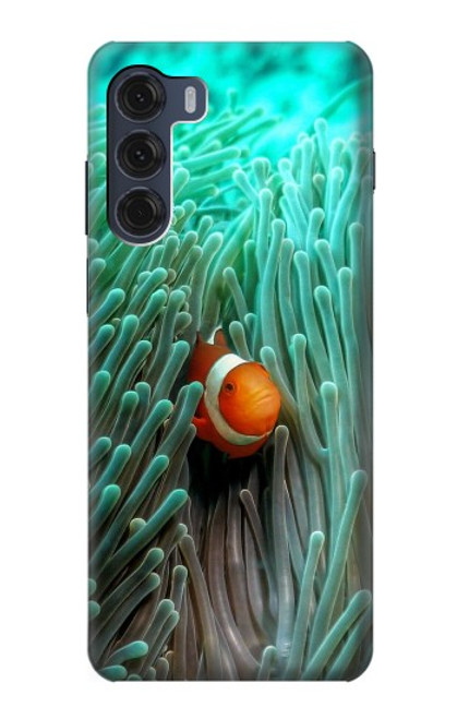 S3893 Ocellaris clownfish Case For Motorola Moto G200 5G