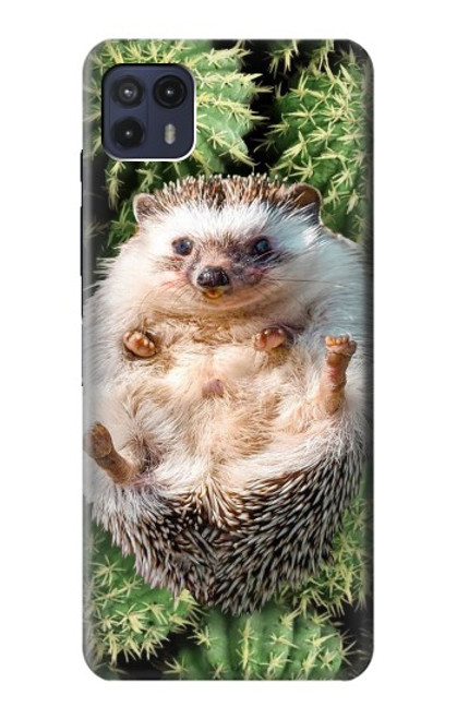 S3863 Pygmy Hedgehog Dwarf Hedgehog Paint Case For Motorola Moto G50 5G