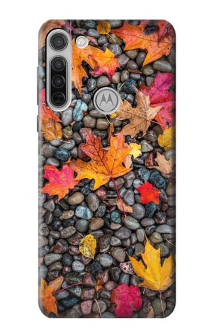S3889 Maple Leaf Case For Motorola Moto G8