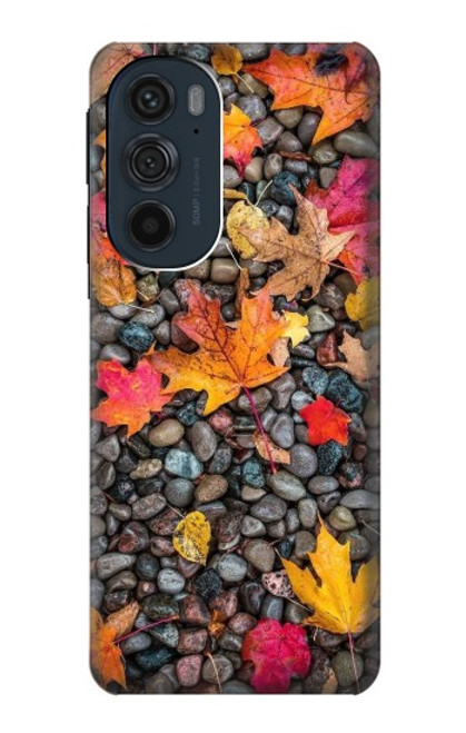 S3889 Maple Leaf Case For Motorola Edge 30 Pro
