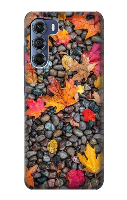 S3889 Maple Leaf Case For Motorola Edge S30