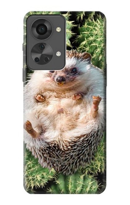 S3863 Pygmy Hedgehog Dwarf Hedgehog Paint Case For OnePlus Nord 2T