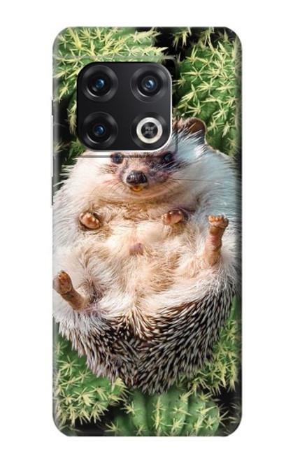 S3863 Pygmy Hedgehog Dwarf Hedgehog Paint Case For OnePlus 10 Pro