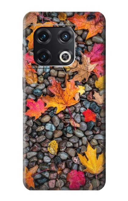 S3889 Maple Leaf Case For OnePlus 10 Pro