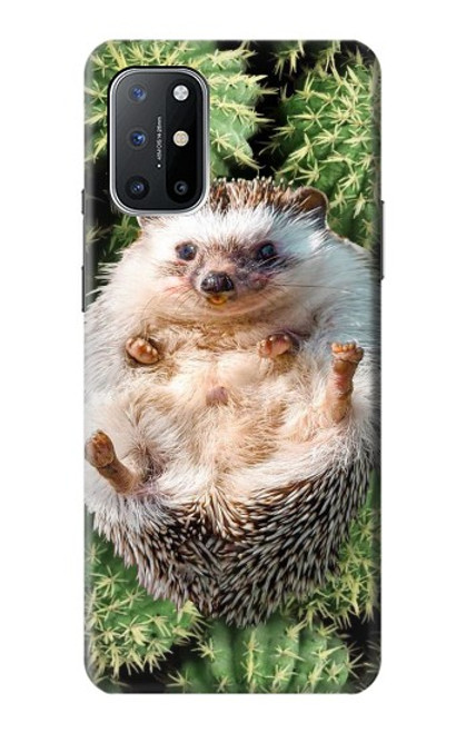 S3863 Pygmy Hedgehog Dwarf Hedgehog Paint Case For OnePlus 8T