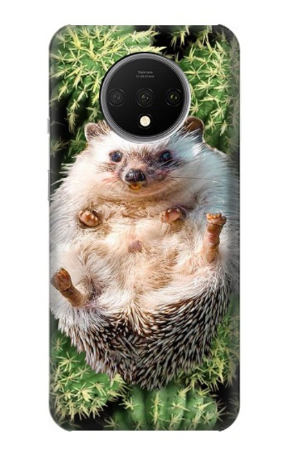 S3863 Pygmy Hedgehog Dwarf Hedgehog Paint Case For OnePlus 7T