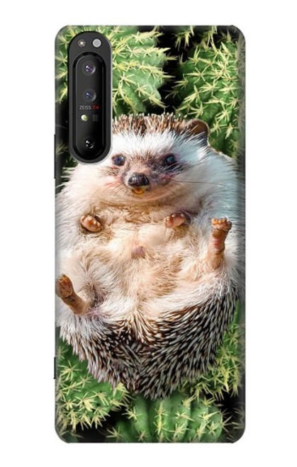 S3863 Pygmy Hedgehog Dwarf Hedgehog Paint Case For Sony Xperia 1 II