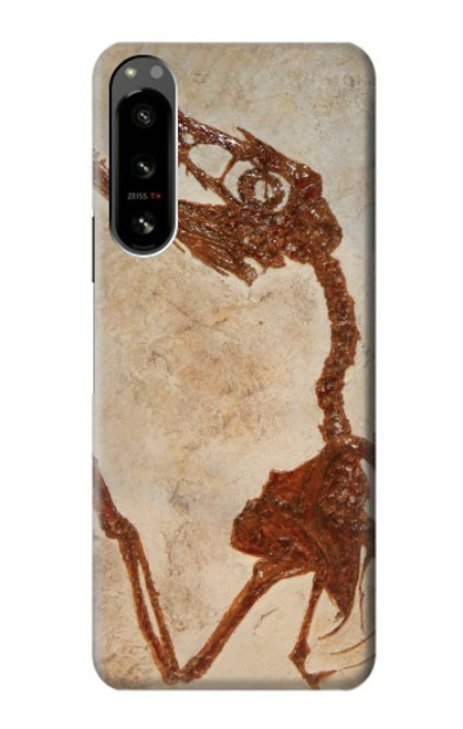 S0379 Dinosaur Fossil Case For Sony Xperia 5 IV