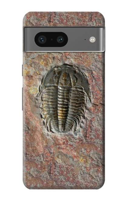 S1454 Trilobite Fossil Case For Google Pixel 7