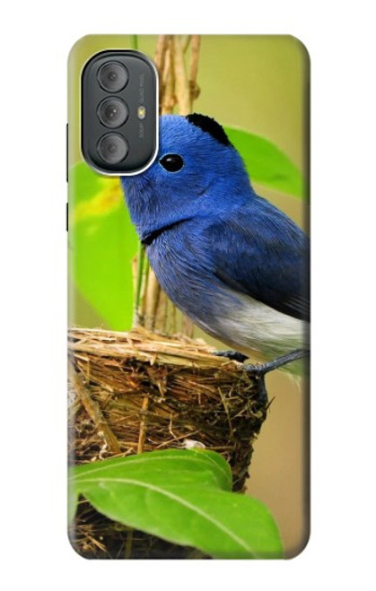 S3839 Bluebird of Happiness Blue Bird Case For Motorola Moto G Power 2022, G Play 2023