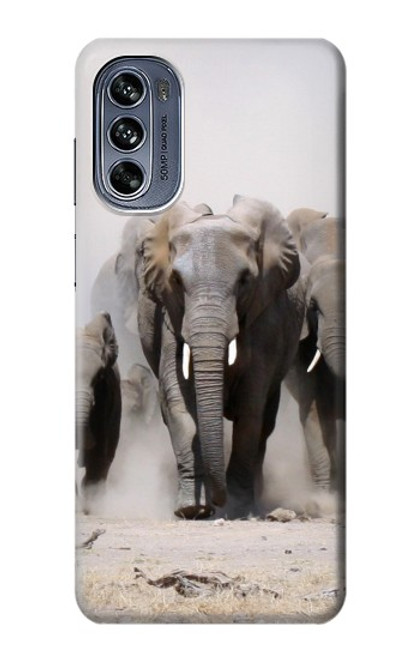 S3142 African Elephant Case For Motorola Moto G62 5G