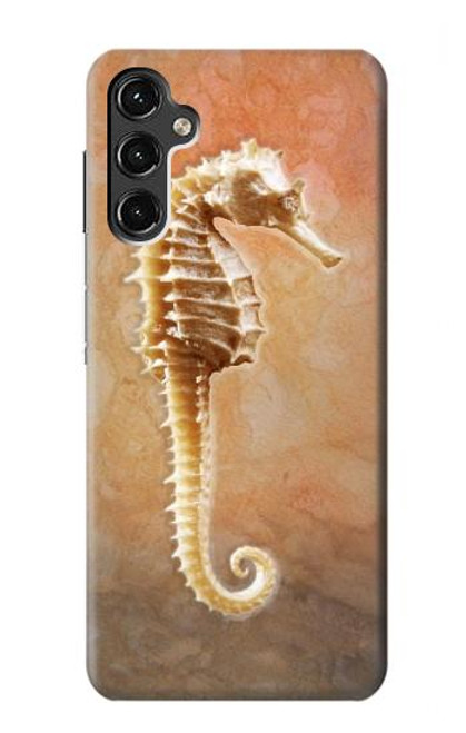 S2674 Seahorse Skeleton Fossil Case For Samsung Galaxy A14 5G