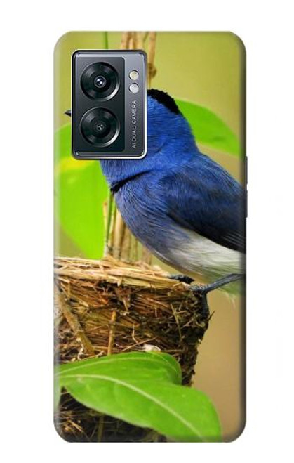 S3839 Bluebird of Happiness Blue Bird Case For OnePlus Nord N300