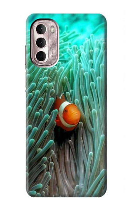 S3893 Ocellaris clownfish Case For Motorola Moto G Stylus 4G (2022)