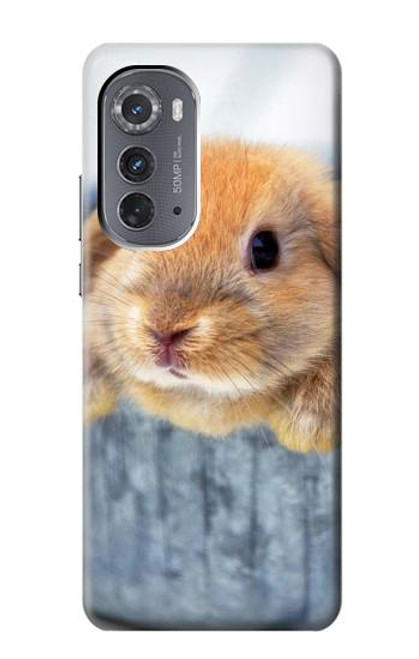 S0242 Cute Rabbit Case For Motorola Edge (2022)