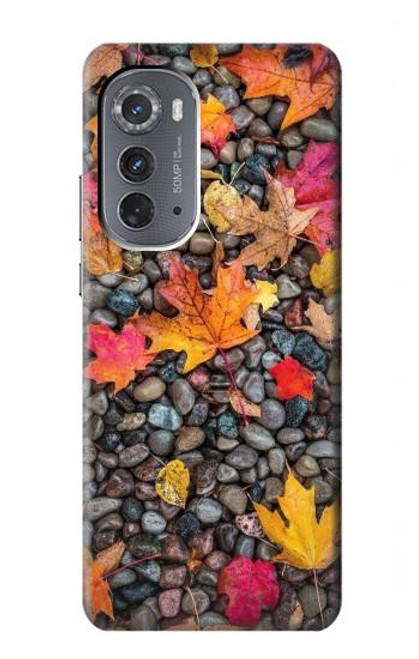 S3889 Maple Leaf Case For Motorola Edge (2022)