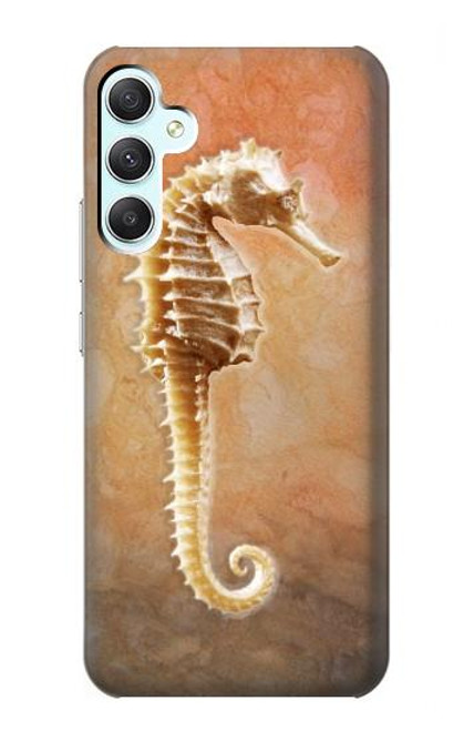 S2674 Seahorse Skeleton Fossil Case For Samsung Galaxy A34 5G