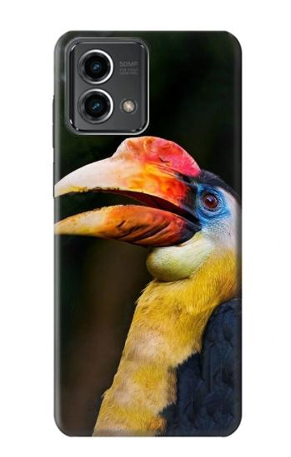 S3876 Colorful Hornbill Case For Motorola Moto G Stylus 5G (2023)