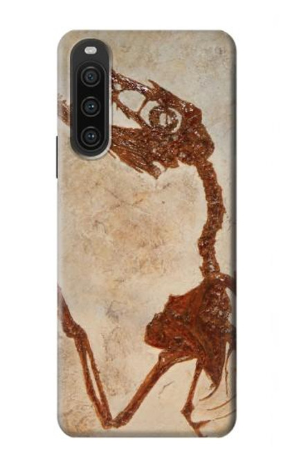 S0379 Dinosaur Fossil Case For Sony Xperia 10 V