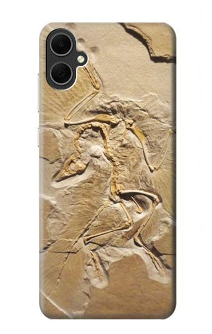 S0380 Dinosaur Fossil Case For Samsung Galaxy A05
