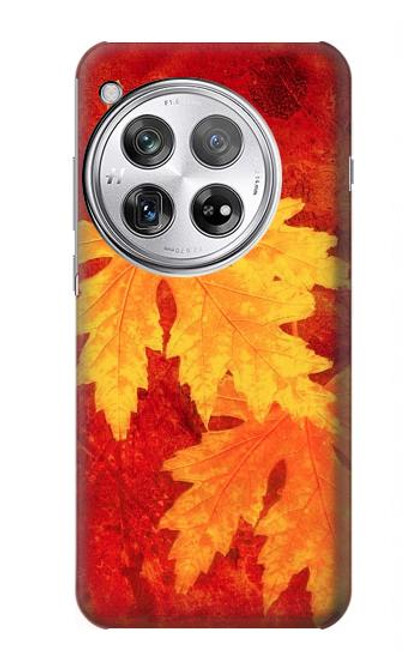 S0479 Maple Leaf Case For OnePlus 12