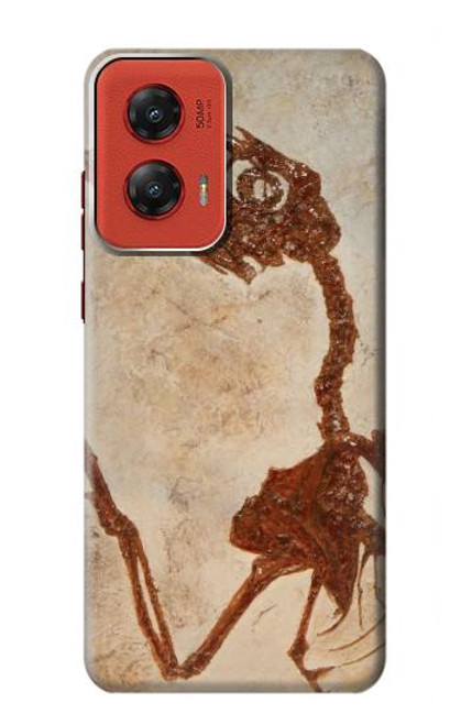 S0379 Dinosaur Fossil Case For Motorola Moto G Stylus 5G (2024)