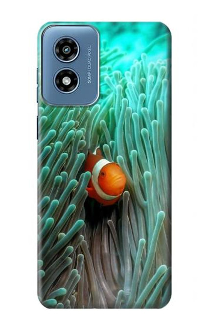 S3893 Ocellaris clownfish Case For Motorola Moto G Play 4G (2024)