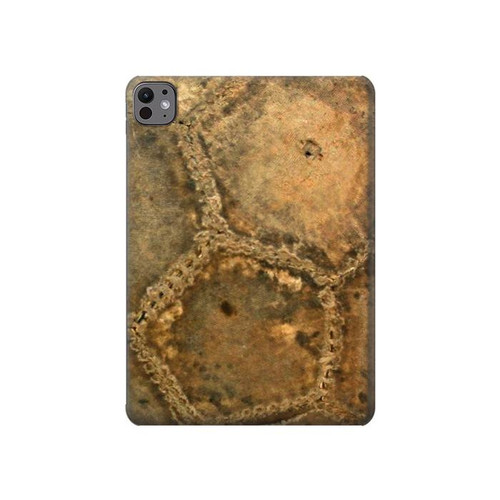 S2531 Old Soccer Ball Hard Case For iPad Pro 11 (2024,2025)
