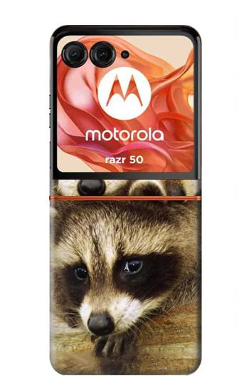 S0977 Baby Raccoons Case For Motorola Razr 70,60,50, Razr (2026, 2025, 2024)