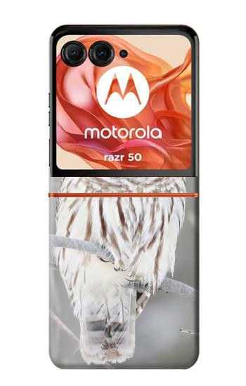 S1566 Snowy Owl White Owl Case For Motorola Razr 70,60,50, Razr (2026, 2025, 2024)