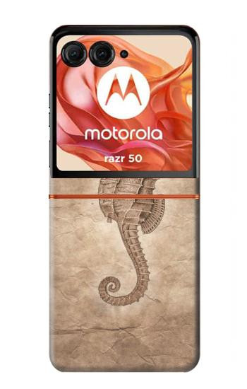 S3214 Seahorse Skeleton Fossil Case For Motorola Razr 70,60,50, Razr (2026, 2025, 2024)