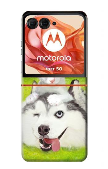 S3795 Kitten Cat Playful Siberian Husky Dog Paint Case For Motorola Razr 70,60,50, Razr (2026, 2025, 2024)