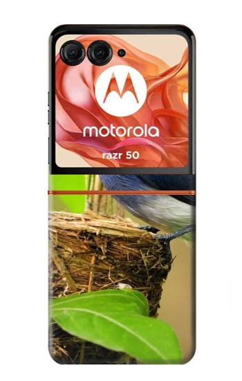 S3839 Bluebird of Happiness Blue Bird Case For Motorola Razr 70,60,50, Razr (2026, 2025, 2024)