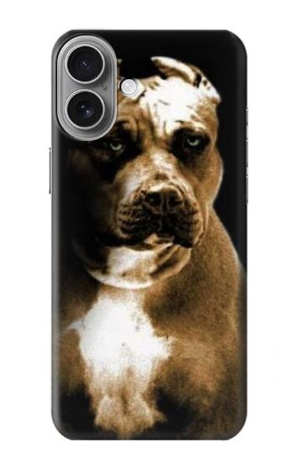 S0520 PitBull Case For iPhone 16 plus