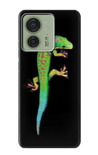 S0125 Green Madagascan Gecko Case For Motorola Edge (2023), Edge 40