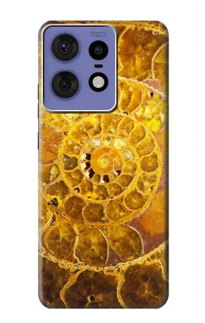 S1789 Ammonite Fossils Case For Motorola Edge 50 Pro