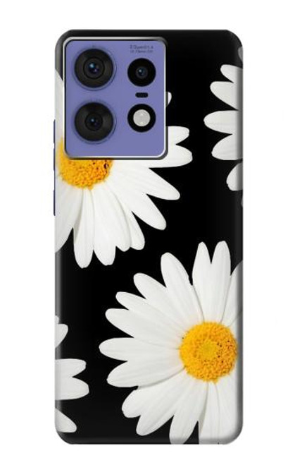 S2477 Daisy flower Case For Motorola Edge 50 Fusion